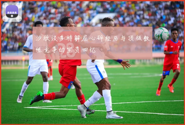 沙欣谈多特解雇心碎经历与顶级教练竞争的宝贵回忆